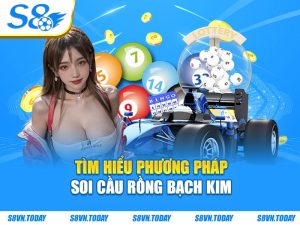 Tìm hiểu phương pháp soi cầu rồng bạch kim